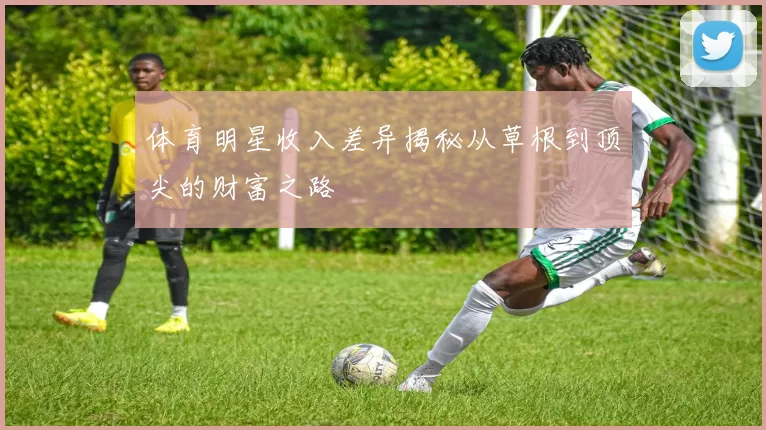 体育明星收入差异揭秘从草根到顶尖的财富之路