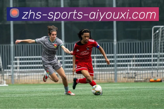 爱游戏发展历程